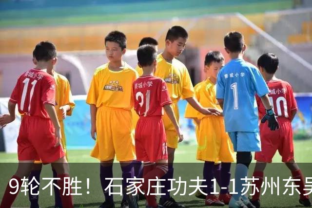 9轮不胜！石家庄功夫1-1苏州东吴 两队分居倒数第三与倒数第二